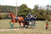 Photo n° 46310
CDF Trec en Attelage. Moutiers au Perche 2018. 
Didier JARROUSSE
Photo Nadine TOUDIC
Affichée 27 fois
Ajoutée le 02/10/2018 11:31:39 par Nadinetoudic

--> Cliquer pour agrandir <--