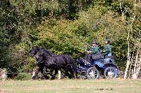 Photo n 46311&#10;CDF Trec en Attelage. Moutiers au Perche 2018. &#10;Marc GAILLARD
Photo Nadine TOUDIC&#10;Affiche 26 fois&#10;Ajoute le 02/10/2018 11:31:39 par Nadinetoudic&#10;&#10;--> Cliquer pour agrandir <--