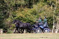 Photo n° 46311
CDF Trec en Attelage. Moutiers au Perche 2018. 
Marc GAILLARD
Photo Nadine TOUDIC
Affichée 23 fois
Ajoutée le 02/10/2018 11:31:39 par Nadinetoudic

--> Cliquer pour agrandir <--