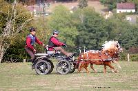 Photo n 46312&#10;CDF Trec en Attelage. Moutiers au Perche 2018. &#10;Herv GONALONS
Photo Nadine TOUDIC&#10;Affiche 35 fois&#10;Ajoute le 02/10/2018 11:31:39 par Nadinetoudic&#10;&#10;--> Cliquer pour agrandir <--