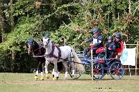 Photo n 46313&#10;CDF Trec en Attelage. Moutiers au Perche 2018. &#10;Yann RHIT
Photo Nadine TOUDIC&#10;Affiche 47 fois&#10;Ajoute le 02/10/2018 11:31:39 par Nadinetoudic&#10;&#10;--> Cliquer pour agrandir <--