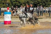 Photo n 46319&#10;MESLAY du MAINE CdF T -  photo Dominique Lebreton&#10;&#10;Affiche 10 fois&#10;Ajoute le 08/10/2018 08:11:26 par JeanClaudeGrognet&#10;&#10;--> Cliquer pour agrandir <--