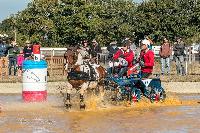 Photo n 46320&#10;MESLAY du MAINE CdF T -  photo Dominique Lebreton&#10;&#10;Affiche 12 fois&#10;Ajoute le 08/10/2018 08:11:26 par JeanClaudeGrognet&#10;&#10;--> Cliquer pour agrandir <--