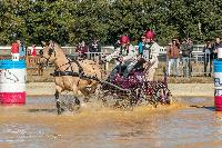 Photo n 46322&#10;MESLAY du MAINE CdF T -  photo Dominique Lebreton&#10;&#10;Affiche 14 fois&#10;Ajoute le 08/10/2018 08:11:26 par JeanClaudeGrognet&#10;&#10;--> Cliquer pour agrandir <--