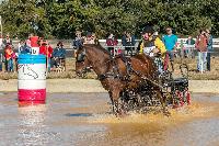 Photo n 46323&#10;MESLAY du MAINE CdF T -  photo Dominique Lebreton&#10;&#10;Affiche 11 fois&#10;Ajoute le 08/10/2018 08:11:26 par JeanClaudeGrognet&#10;&#10;--> Cliquer pour agrandir <--