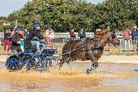 Photo n 46324&#10;MESLAY du MAINE CdF T -  photo Dominique Lebreton&#10;&#10;Affiche 12 fois&#10;Ajoute le 08/10/2018 08:11:26 par JeanClaudeGrognet&#10;&#10;--> Cliquer pour agrandir <--