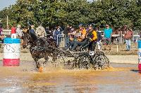 Photo n 46325&#10;MESLAY du MAINE CdF T -  photo Dominique Lebreton&#10;&#10;Affiche 12 fois&#10;Ajoute le 08/10/2018 08:11:26 par JeanClaudeGrognet&#10;&#10;--> Cliquer pour agrandir <--
