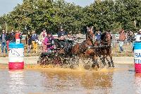 Photo n 46326&#10;MESLAY du MAINE CdF T -  photo Dominique Lebreton&#10;&#10;Affiche 12 fois&#10;Ajoute le 08/10/2018 08:11:26 par JeanClaudeGrognet&#10;&#10;--> Cliquer pour agrandir <--