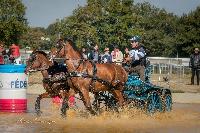 Photo n 46327&#10;MESLAY du MAINE CdF T -  photo Dominique Lebreton&#10;&#10;Affiche 16 fois&#10;Ajoute le 08/10/2018 08:11:26 par JeanClaudeGrognet&#10;&#10;--> Cliquer pour agrandir <--