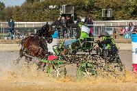 Photo n 46329&#10;MESLAY du MAINE CdF T -  photo Dominique Lebreton&#10;&#10;Affiche 12 fois&#10;Ajoute le 08/10/2018 08:11:26 par JeanClaudeGrognet&#10;&#10;--> Cliquer pour agrandir <--