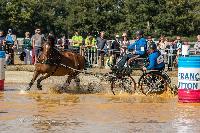 Photo n 46334&#10;MESLAY du MAINE CdF T -  photo Dominique Lebreton&#10;&#10;Affiche 15 fois&#10;Ajoute le 08/10/2018 08:11:26 par JeanClaudeGrognet&#10;&#10;--> Cliquer pour agrandir <--