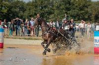 Photo n 46335&#10;MESLAY du MAINE CdF T -  photo Dominique Lebreton&#10;&#10;Affiche 27 fois&#10;Ajoute le 08/10/2018 08:11:26 par JeanClaudeGrognet&#10;&#10;--> Cliquer pour agrandir <--
