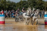 Photo n° 46336
MESLAY du MAINE CdF T -  photo Dominique Lebreton

Affichée 17 fois
Ajoutée le 08/10/2018 08:11:27 par JeanClaudeGrognet

--> Cliquer pour agrandir <--