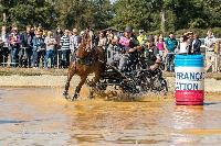 Photo n 46341&#10;MESLAY du MAINE CdF T -  photo Dominique Lebreton&#10;&#10;Affiche 46 fois&#10;Ajoute le 08/10/2018 08:11:27 par JeanClaudeGrognet&#10;&#10;--> Cliquer pour agrandir <--