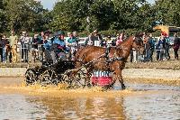 Photo n° 46345
MESLAY du MAINE CdF T -  photo Dominique Lebreton

Affichée 11 fois
Ajoutée le 08/10/2018 08:11:27 par JeanClaudeGrognet

--> Cliquer pour agrandir <--