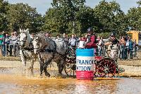 Photo n 46346&#10;MESLAY du MAINE CdF T -  photo Dominique Lebreton&#10;&#10;Affiche 14 fois&#10;Ajoute le 08/10/2018 08:11:27 par JeanClaudeGrognet&#10;&#10;--> Cliquer pour agrandir <--