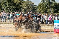 Photo n 46348&#10;MESLAY du MAINE CdF T -  photo Dominique Lebreton&#10;&#10;Affiche 10 fois&#10;Ajoute le 08/10/2018 08:11:27 par JeanClaudeGrognet&#10;&#10;--> Cliquer pour agrandir <--
