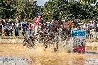 Photo n 46351&#10;MESLAY du MAINE CdF T -  photo Dominique Lebreton&#10;&#10;Affiche 13 fois&#10;Ajoute le 08/10/2018 08:11:27 par JeanClaudeGrognet&#10;&#10;--> Cliquer pour agrandir <--
