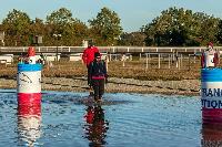 Photo n° 46354
MESLAY du MAINE CdF T -  photo Dominique Lebreton

Affichée 9 fois
Ajoutée le 08/10/2018 08:11:28 par JeanClaudeGrognet

--> Cliquer pour agrandir <--