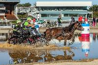 Photo n 46359&#10;MESLAY du MAINE CdF T -  photo Dominique Lebreton&#10;&#10;Affiche 12 fois&#10;Ajoute le 08/10/2018 08:11:28 par JeanClaudeGrognet&#10;&#10;--> Cliquer pour agrandir <--