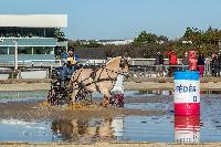 Photo n 46361&#10;MESLAY du MAINE CdF T -  photo Dominique Lebreton&#10;&#10;Affiche 14 fois&#10;Ajoute le 08/10/2018 08:11:28 par JeanClaudeGrognet&#10;&#10;--> Cliquer pour agrandir <--