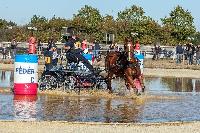Photo n 46362&#10;MESLAY du MAINE CdF T -  photo Dominique Lebreton&#10;&#10;Affiche 16 fois&#10;Ajoute le 08/10/2018 08:11:28 par JeanClaudeGrognet&#10;&#10;--> Cliquer pour agrandir <--