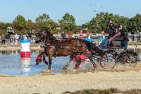 Photo n 46363&#10;MESLAY du MAINE CdF T -  photo Dominique Lebreton&#10;&#10;Affiche 19 fois&#10;Ajoute le 08/10/2018 08:11:28 par JeanClaudeGrognet&#10;&#10;--> Cliquer pour agrandir <--