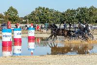 Photo n 46365&#10;MESLAY du MAINE CdF T -  photo Dominique Lebreton&#10;&#10;Affiche 20 fois&#10;Ajoute le 08/10/2018 08:11:28 par JeanClaudeGrognet&#10;&#10;--> Cliquer pour agrandir <--