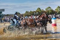 Photo n 46371&#10;MESLAY du MAINE CdF T -  photo Dominique Lebreton&#10;&#10;Affiche 28 fois&#10;Ajoute le 08/10/2018 08:11:28 par JeanClaudeGrognet&#10;&#10;--> Cliquer pour agrandir <--