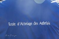 Photo n 46377&#10;MESLAY du MAINE CdF T -  photo Dominique Lebreton&#10;&#10;Affiche 14 fois&#10;Ajoute le 08/10/2018 08:11:29 par JeanClaudeGrognet&#10;&#10;--> Cliquer pour agrandir <--