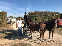 Photo n 46379&#10;LIGNIERES CdF 2018&#10;Robin Cressent&#10;Affiche 67 fois&#10;Ajoute le 14/10/2018 13:52:39 par JeanClaudeGrognet&#10;&#10;--> Cliquer pour agrandir <--