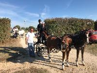 Photo n° 46379
LIGNIERES CdF 2018
Robin Cressent
Affichée 67 fois
Ajoutée le 14/10/2018 13:52:39 par JeanClaudeGrognet

--> Cliquer pour agrandir <--