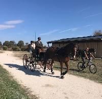 Photo n 46380&#10;&#10;David Gurin&#10;Affiche 59 fois&#10;Ajoute le 14/10/2018 13:52:39 par JeanClaudeGrognet&#10;&#10;--> Cliquer pour agrandir <--
