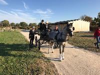 Photo n 46385&#10;&#10;Brengre Cressent&#10;Affiche 70 fois&#10;Ajoute le 14/10/2018 13:52:39 par JeanClaudeGrognet&#10;&#10;--> Cliquer pour agrandir <--