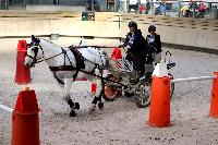 Photo n 46532&#10;Indoor DEAUVILLE 2019 Photo N.TOUDIC&#10;Deborah DANEELS&#10;Affiche 11 fois&#10;Ajoute le 14/03/2019 11:04:00 par Nadinetoudic&#10;&#10;--> Cliquer pour agrandir <--
