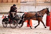 Photo n 46535&#10;Indoor DEAUVILLE 2019 Photo N.TOUDIC&#10;Yves GIBON&#10;Affiche 24 fois&#10;Ajoute le 14/03/2019 11:04:00 par Nadinetoudic&#10;&#10;--> Cliquer pour agrandir <--