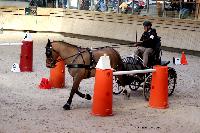 Photo n 46536&#10;Indoor DEAUVILLE 2019 Photo N.TOUDIC&#10;Yves GIBON&#10;Affiche 13 fois&#10;Ajoute le 14/03/2019 11:04:00 par Nadinetoudic&#10;&#10;--> Cliquer pour agrandir <--