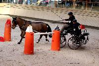 Photo n 46537&#10;Indoor DEAUVILLE 2019 Photo N.TOUDIC&#10;Yves GIBON&#10;Affiche 16 fois&#10;Ajoute le 14/03/2019 11:04:00 par Nadinetoudic&#10;&#10;--> Cliquer pour agrandir <--