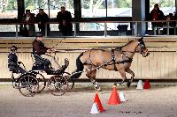 Photo n 46538&#10;Indoor DEAUVILLE 2019 Photo N.TOUDIC&#10;Yves GIBON&#10;Affiche 19 fois&#10;Ajoute le 14/03/2019 11:04:00 par Nadinetoudic&#10;&#10;--> Cliquer pour agrandir <--