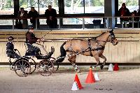 Photo n° 46538
Indoor DEAUVILLE 2019 Photo N.TOUDIC
Yves GIBON
Affichée 17 fois
Ajoutée le 14/03/2019 11:04:00 par Nadinetoudic

--> Cliquer pour agrandir <--