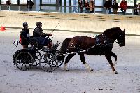Photo n 46540&#10;Indoor DEAUVILLE 2019 Photo N.TOUDIC&#10;David GUERIN&#10;Affiche 24 fois&#10;Ajoute le 14/03/2019 11:04:00 par Nadinetoudic&#10;&#10;--> Cliquer pour agrandir <--