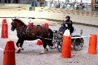 Photo n 46541&#10;Indoor DEAUVILLE 2019 Photo N.TOUDIC&#10;David GUERIN&#10;Affiche 9 fois&#10;Ajoute le 14/03/2019 11:04:00 par Nadinetoudic&#10;&#10;--> Cliquer pour agrandir <--