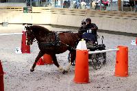 Photo n 46542&#10;Indoor DEAUVILLE 2019 Photo N.TOUDIC&#10;David GUERIN&#10;Affiche 10 fois&#10;Ajoute le 14/03/2019 11:04:00 par Nadinetoudic&#10;&#10;--> Cliquer pour agrandir <--