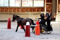 Photo n 46543&#10;Indoor DEAUVILLE 2019 Photo N. TOUDIC&#10;Cline JOURDAIN&#10;Affiche 10 fois&#10;Ajoute le 14/03/2019 11:35:39 par Nadinetoudic&#10;&#10;--> Cliquer pour agrandir <--