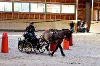Photo n 46544&#10;Indoor DEAUVILLE 2019 Photo N. TOUDIC&#10;Cline JOURDAIN&#10;Affiche 15 fois&#10;Ajoute le 14/03/2019 11:35:39 par Nadinetoudic&#10;&#10;--> Cliquer pour agrandir <--