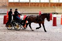 Photo n 46545&#10;Indoor DEAUVILLE 2019 Photo N. TOUDIC&#10;Cline JOURDAIN&#10;Affiche 11 fois&#10;Ajoute le 14/03/2019 11:35:39 par Nadinetoudic&#10;&#10;--> Cliquer pour agrandir <--