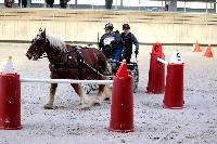 Photo n 46548&#10;Indoor DEAUVILLE 2019 Photo N. TOUDIC&#10;Christian DERREY&#10;Affiche 7 fois&#10;Ajoute le 14/03/2019 11:35:39 par Nadinetoudic&#10;&#10;--> Cliquer pour agrandir <--