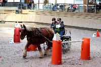 Photo n 46549&#10;Indoor DEAUVILLE 2019 Photo N. TOUDIC&#10;Christian DERREY&#10;Affiche 12 fois&#10;Ajoute le 14/03/2019 11:35:39 par Nadinetoudic&#10;&#10;--> Cliquer pour agrandir <--