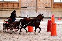Photo n 46550&#10;Indoor DEAUVILLE 2019 Photo N. TOUDIC&#10;Eric LAVILLE&#10;Affiche 13 fois&#10;Ajoute le 14/03/2019 11:35:39 par Nadinetoudic&#10;&#10;--> Cliquer pour agrandir <--