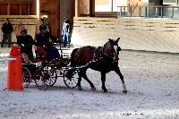 Photo n 46551&#10;Indoor DEAUVILLE 2019 Photo N. TOUDIC&#10;Eric LAVILLE&#10;Affiche 10 fois&#10;Ajoute le 14/03/2019 11:35:39 par Nadinetoudic&#10;&#10;--> Cliquer pour agrandir <--